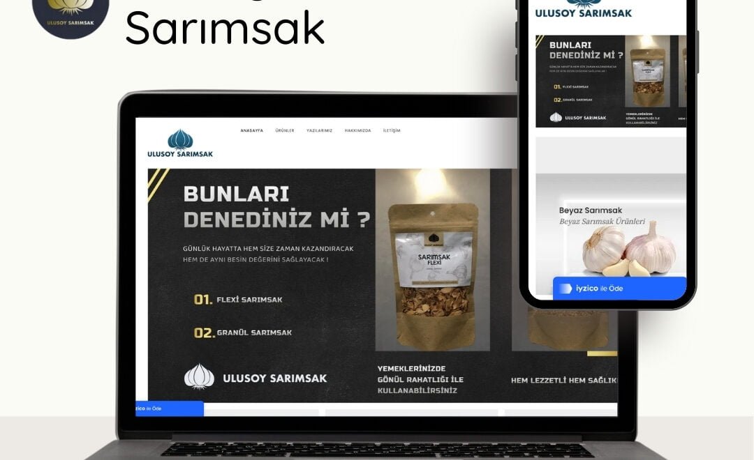 ulusoysarimsak kastamonu web tasarım