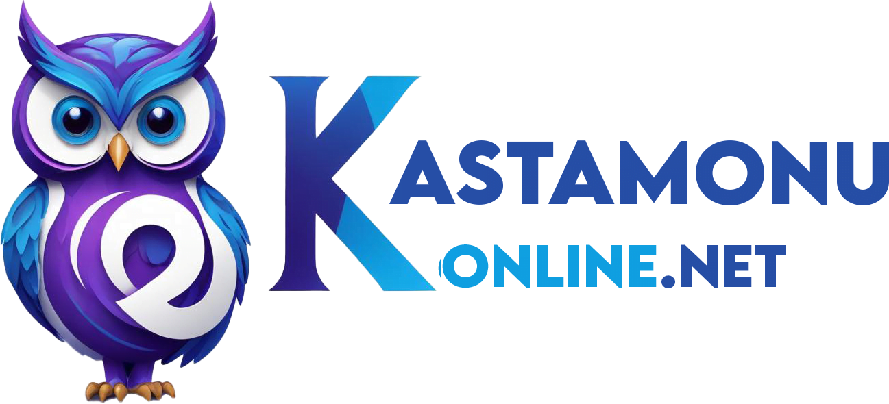 kastamonu online web tasarım